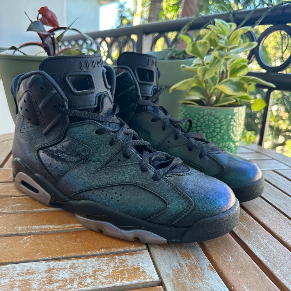Jordan 6 All Star Chameleon